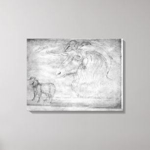 Ram and head of a ram canvas print
