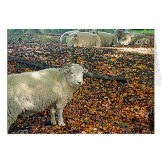 Ram Card (Front Horizontal)