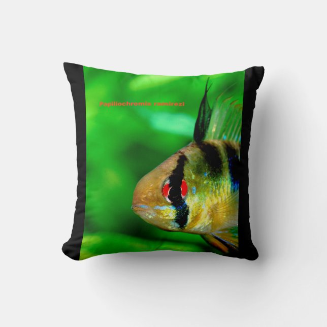 Ram Cichlid , Papiliochromis ramirezi Cushion (Front)