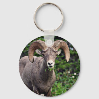 Ram Grazing Key Ring