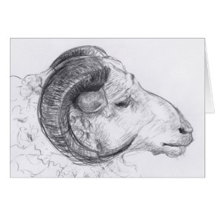 Ram Head Original Drawing Greeting Card