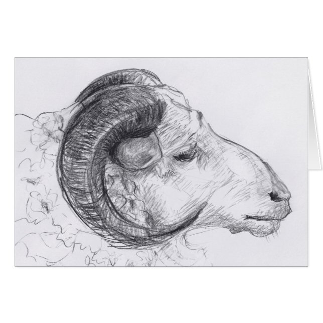 Ram Head Original Drawing Greeting Card (Front Horizontal)