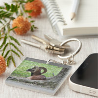 Ram Keychain