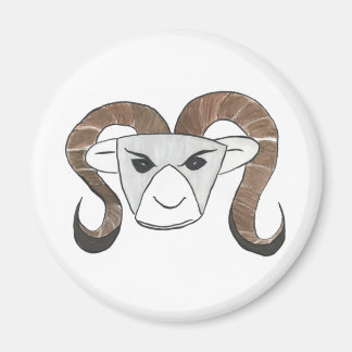 Ram Magnet