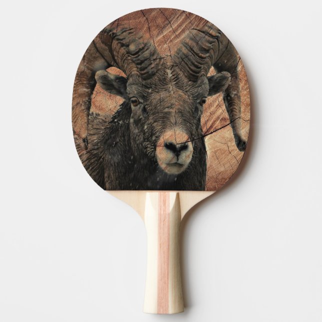 Ram Ping Pong Paddle (Front)