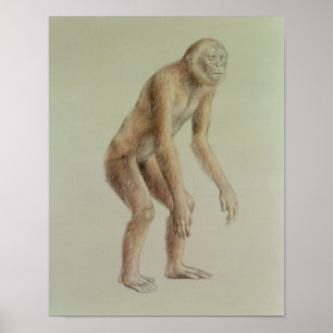 Ramapithecus Poster