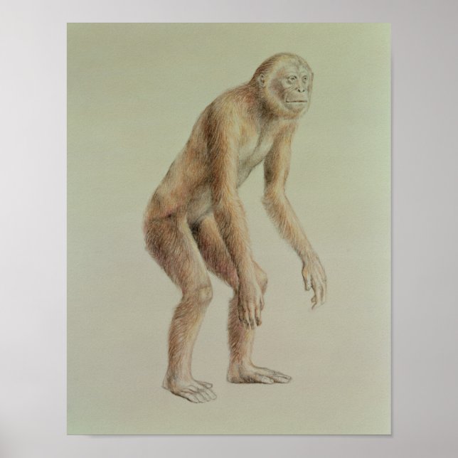 Ramapithecus Poster (Front)