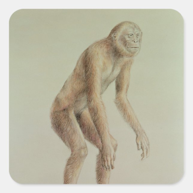 Ramapithecus Square Sticker (Front)