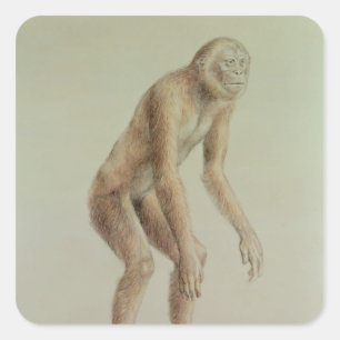 Ramapithecus Square Sticker