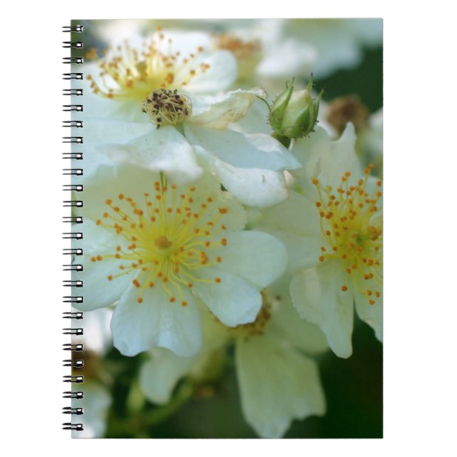 Rambling Roses Flower Nature Notebook (Front)