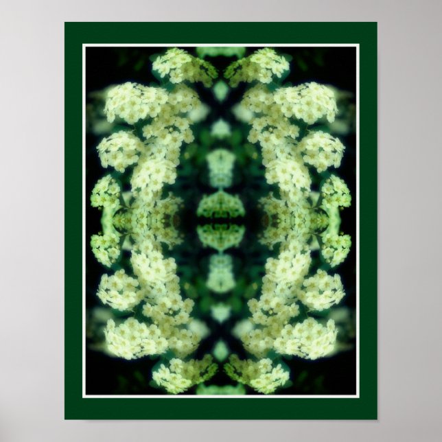 Rambling Wild White Roses Abstract Poster (Front)