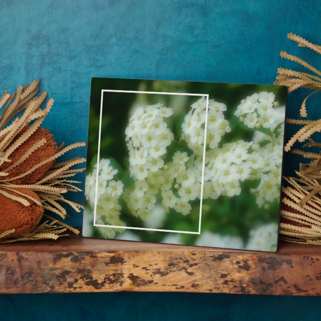 Rambling Wild White Roses Add Your Own Photo Plaque (Side)