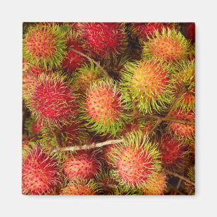 Rambutan Fruit at Can Duoc Market Magnet
