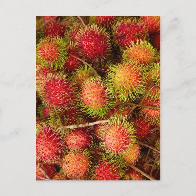 Rambutan Fruit at Can Duoc Market Postcard (Front)