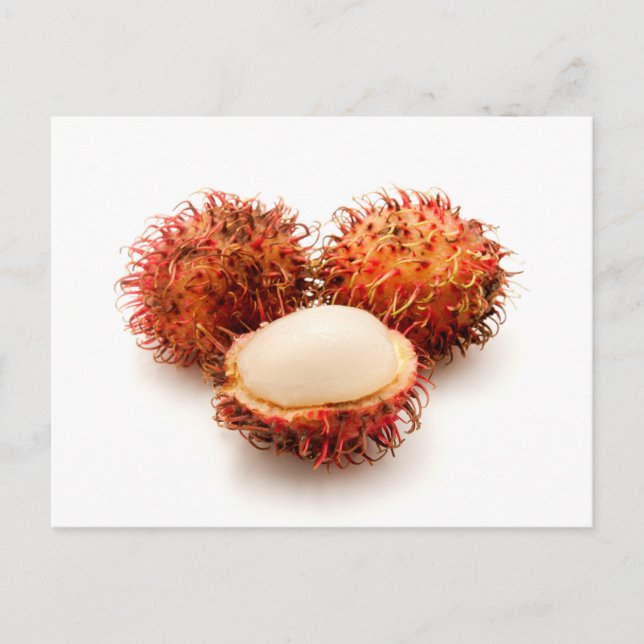 Rambutan Postcard (Front)