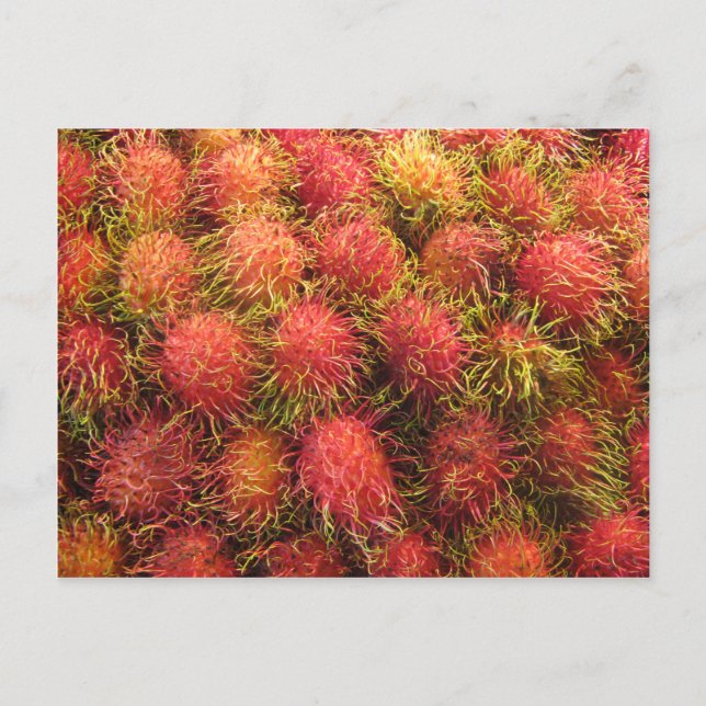 Rambutan Tropical Fruit Postcard (Front)