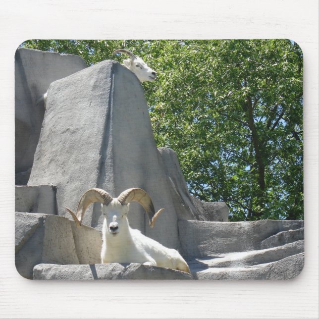 rams mouse pad (Front)