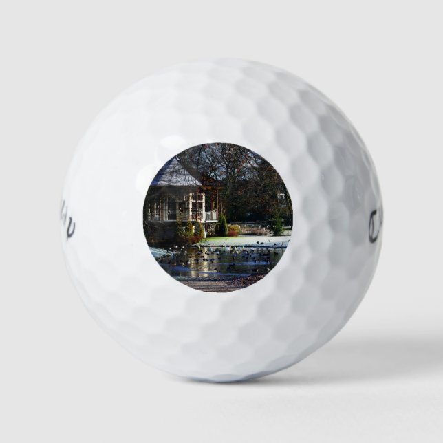 Rams Woerthe Tea House cwb gbcna Golf Balls (Front)
