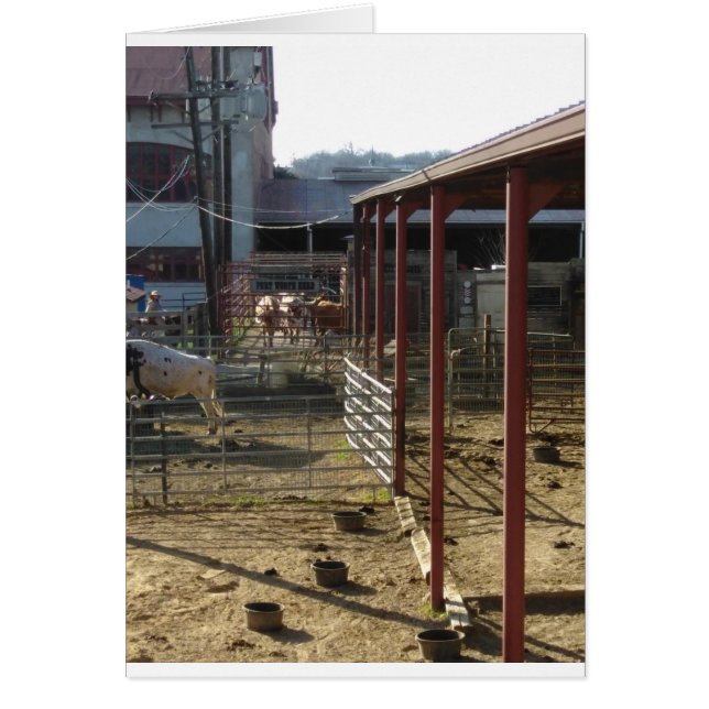 Ranch (Front)