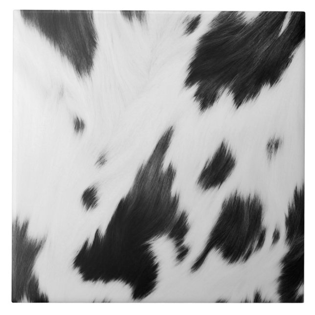 Ranch Cowboy Western Country Black White Cowhide Tile (Front)