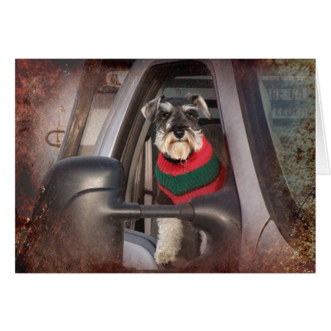 Ranch Dog (Front Horizontal)