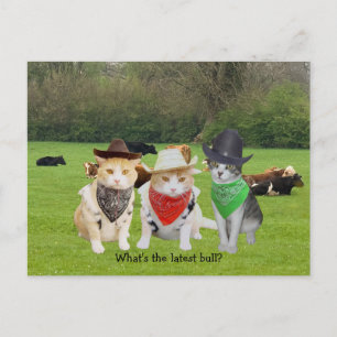 Ranch Hand - Working Cats Postcard