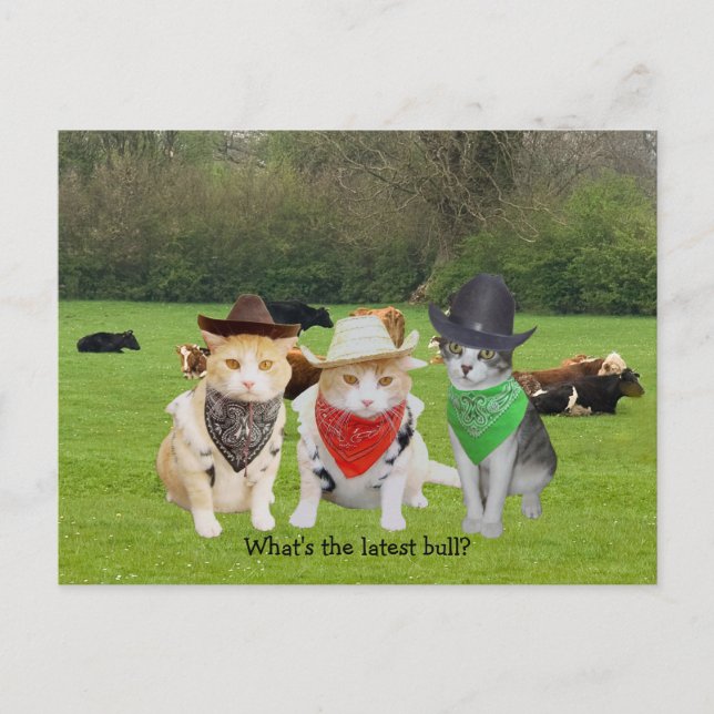 Ranch Hand - Working Cats Postcard (Front)