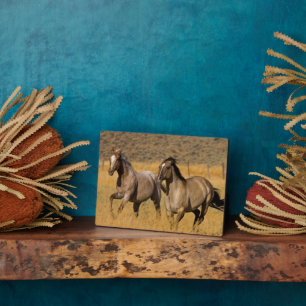 Ranch Living at The Ponderosa Ranch Plaque