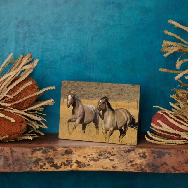 Ranch Living at The Ponderosa Ranch Plaque (Side)