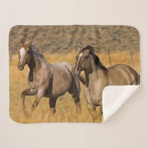 Ranch Living at The Ponderosa Ranch Sherpa Blanket