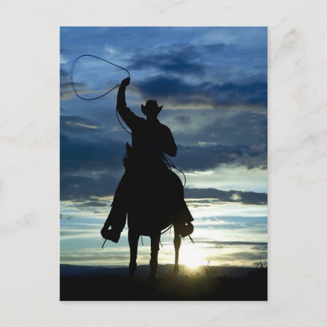 Ranch sunset horseback Riding cowboy silhouette Postcard (Front)