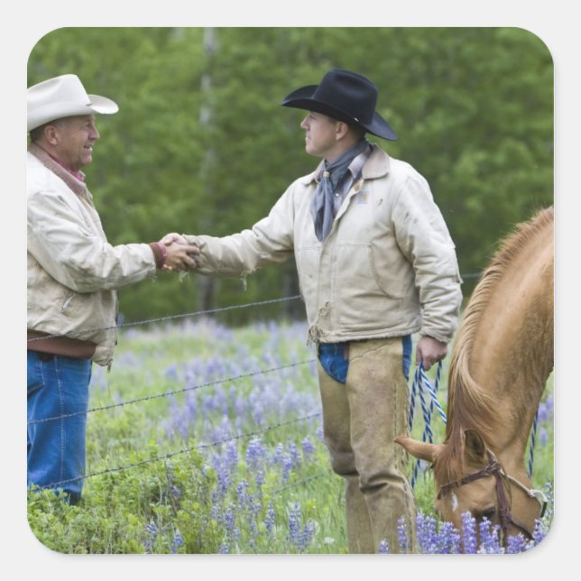 Ranchers shaking hands across the fencing in square sticker (Front)