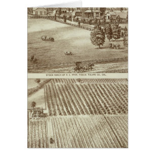 Ranches, Visalia, Tulare, Cal