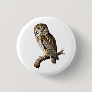 “Randolph” - A Watchful Silence, An Owl’s Portrait 3 Cm Round Badge