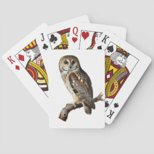 “Randolph” - A Watchful Silence, An Owl’s Portrait Playing Cards