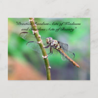 Random Acts of Kindness Postcard - Dragonfly