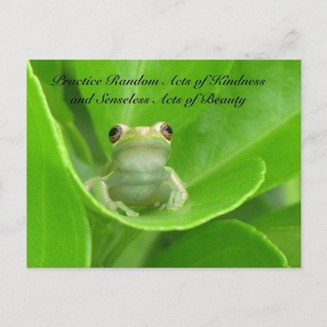 Random Acts of Kindness Postcard - Green Tree Frog (Front)