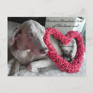 Random Acts of Kindness Postcard - Rain