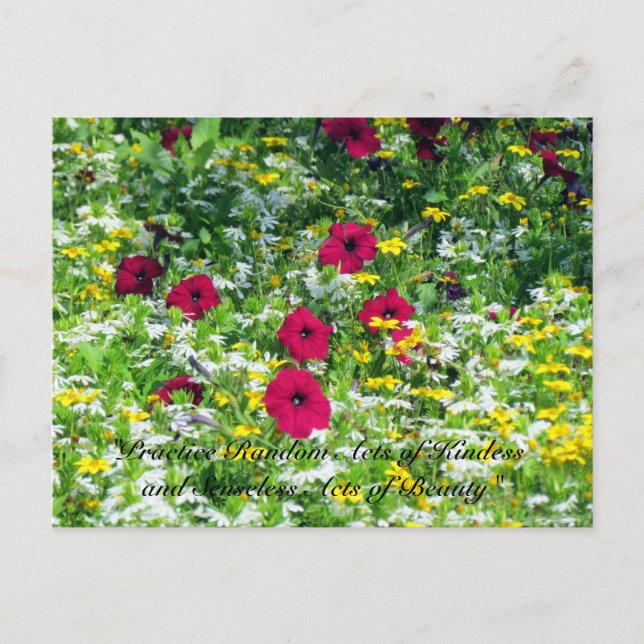 Random Acts of Kindness Postcard - Wildflowers (Front)