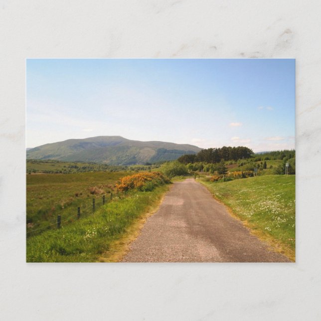 random road in Scotland Postcard (Front)
