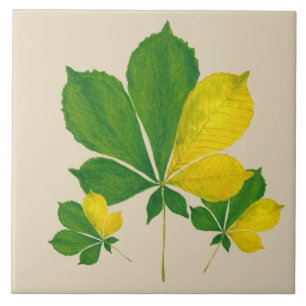 'Rang De Basanti' on a Ceramic Tile (I)