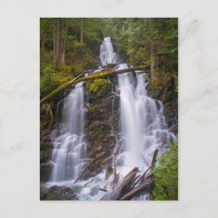 Ranger Falls, Mt. Rainer National Park Postcard