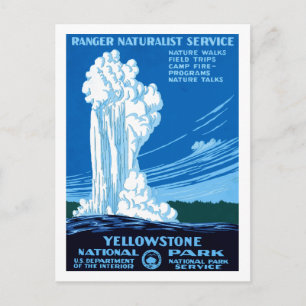 Ranger Naturalist Service ~ Yellowstone Postcard