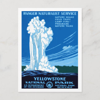 Ranger Naturalist Service ~ Yellowstone Postcard