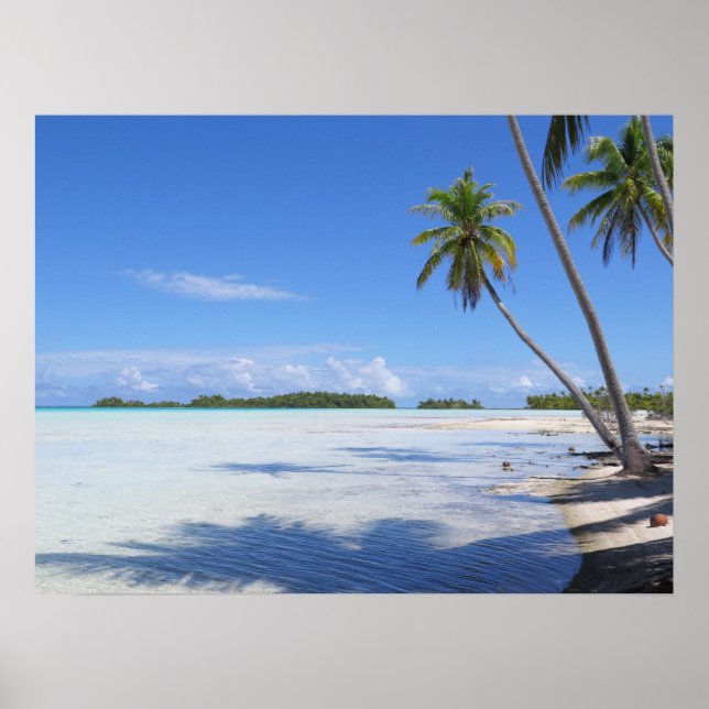 Rangiroa Blue Lagoon Palm trees Poster (Front)