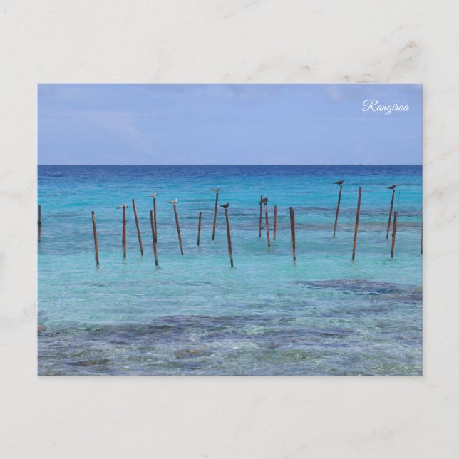 Rangiroa French Polynesia Holiday Postcard (Front)