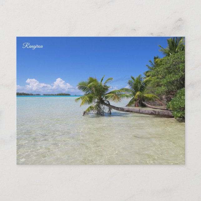 Rangiroa French Polynesia Holiday Postcard (Front)