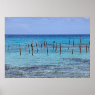 Rangiroa lagoon poster