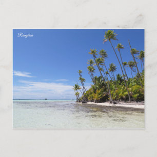 Rangiroa palm trees postcard