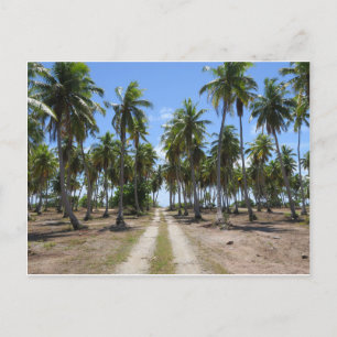 Rangiroa road to paradise postcard